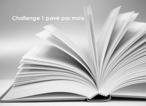 challenge 1 pavé par mois by bianca