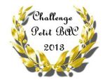 challenge Petit Bac 2013